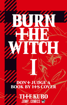 Cover Art for BURN THE WITCH