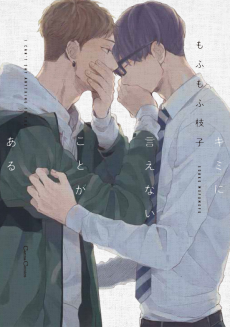 Cover Art for Kimi ni Ienai Koto ga Aru