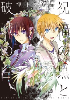 Cover Art for Shukufuku no Kuro to Hametsu no Shiro: Dragon Knights II