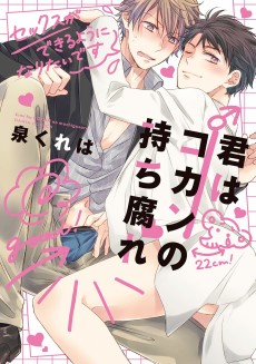 Cover Art for Kimi wa Kokan no Mochigusare