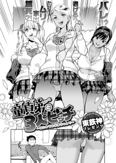 Cover Art for Doutei Otouto to 3-nin no Bitch