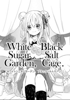 Cover Art for White Sugar Garden, Black Salt Cage