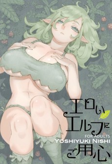 Cover Art for Eroi Elf ni Goyoushin 