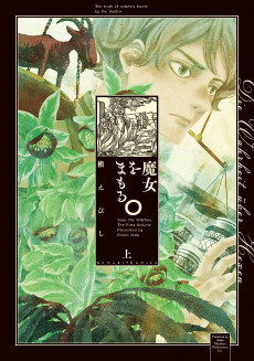 Cover Art for Majo wo Mamoru.