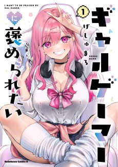 Cover Art for Gal Gamer ni Homeraretai