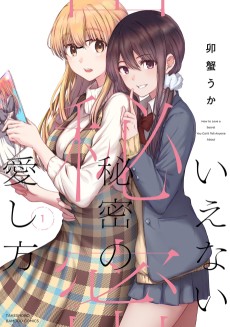 Cover Art for Ienai Himitsu no Aishikata