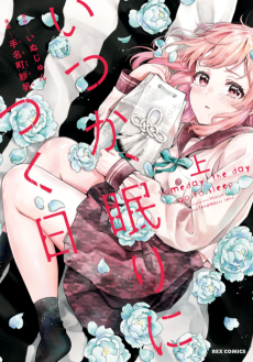 Cover Art for Itsuka, Nemuri ni Tsuku Hi