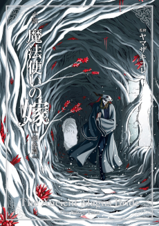 Cover Art for Mahoutsukai no Yome: Ginshi-hen