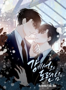 Cover Art for Gangbiseowa Doryeon-nim