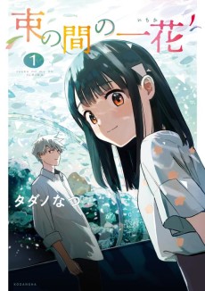 Cover Art for Tsuka no Ma no Ichika