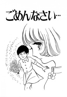 Cover Art for Gomennasai...