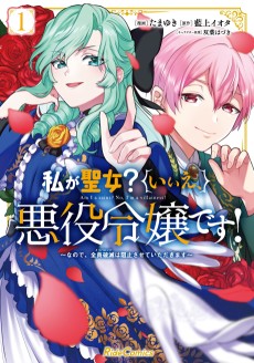 Cover Art for Watashi ga Seijo? Iie, Akuyaku Reijou desu!: Nanode, Zenin Hametsu wa Soshi Sasete Itadakimasu