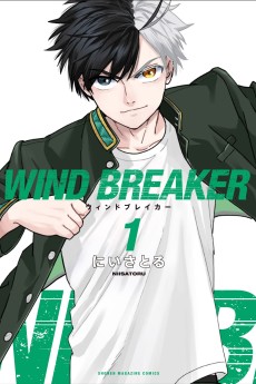 Cover Art for WIND BREAKER