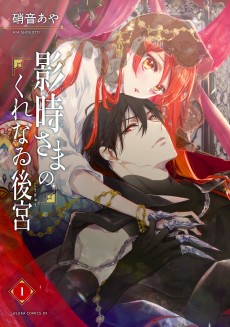 Cover Art for Kagetoki-sama no Kurenawi Koukyuu