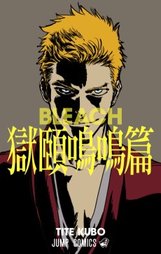 Cover Art for BLEACH Gokumeimeihen