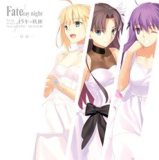 Cover Art for Fate/stay night 15-nen no Kiseki TYPE-MOON Ten