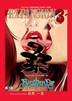 Cover Art for BASTARD!!: Ankoku no Hakaishin - Kanzenban 02 Kakuchouban Expansion SET3 - Kuwa - Triple Osyaburi Chiryou (仮)