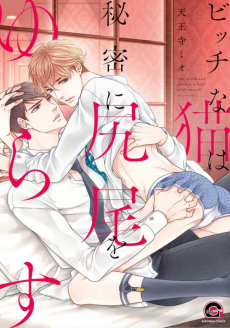 Cover Art for Bitch na Neko wa Himitsu ni Shippo wo Yurasu