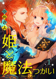 Cover Art for Hime to Mahou Tsukai  