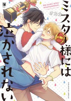 Cover Art for Mister-sama Niwa Nakasarenai