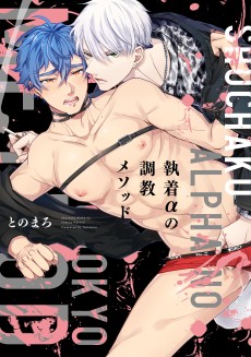 Cover Art for Shuuchaku α no Choukyou Method