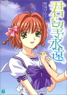 Cover Art for Kimi ga Nozomu Eien