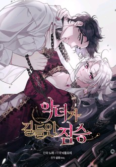 Cover Art for Agnyeoga Gildeulin Jimseung