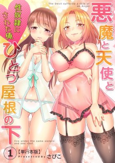 Cover Art for Akuma to Tenshi to Hitotsu Heya no Shita: Sei Dorei ni Sareta Ore