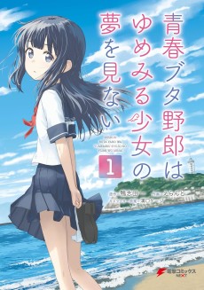 Cover Art for Seishun Buta Yarou wa Yumemiru Shoujo no Yume wo Minai