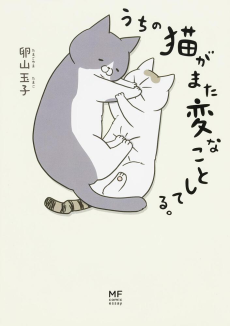 Cover Art for Uchi no Neko ga Mata Henna Koto Shiteru.