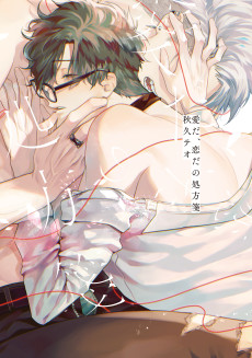 Cover Art for Ai da, Koi dano Shouhosen