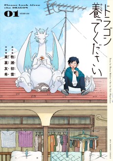 Cover Art for Dragon Yashinatte Kudasai