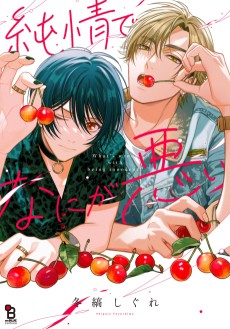 Cover Art for Junjou de Nani ga Warui 