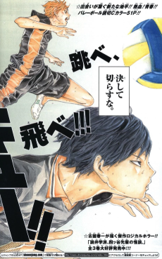 Cover Art for Haikyuu!!