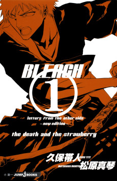 Cover Art for Bleach: Letters From the Other Side