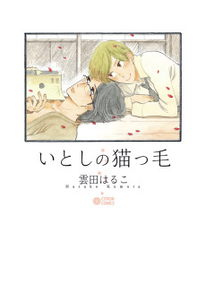 Cover Art for Itoshi no Nekokke