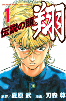 Cover Art for Densetsu no Head Shou