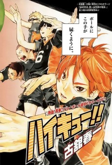 Cover Art for Haikyuu!!