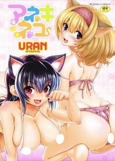 Cover Art for Aneki Neko