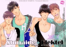 Cover Art for Shinaide + Elektel