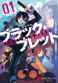 Cover Art for Black Bullet