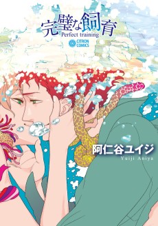 Cover Art for Kanpeki na Shiiku