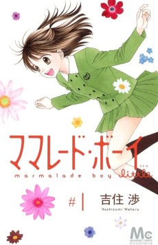 Cover Art for Marmalade Boy Little