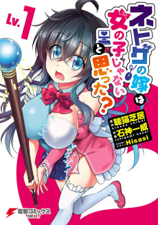 Cover Art for Netoge no Yome wa Onnanoko ja Nai to Omotta?