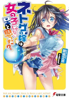 Cover Art for Netoge no Yome wa Onnanoko ja Nai to Omotta?