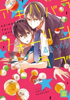 Cover Art for Akihabara Fall in Love