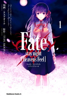 Cover Art for Fate/stay night [Heaven's Feel]