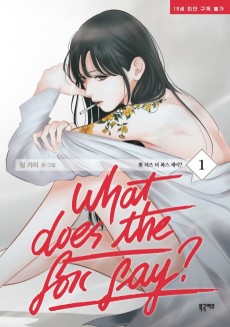 Cover Art for What Does the Fox Say?