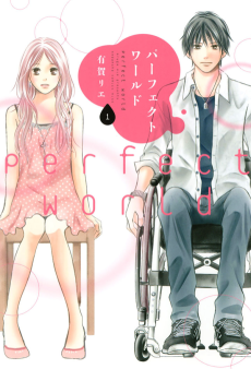 Cover Art for Perfect World
