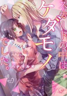 Cover Art for Skirt no Naka wa Kedamono Deshita.